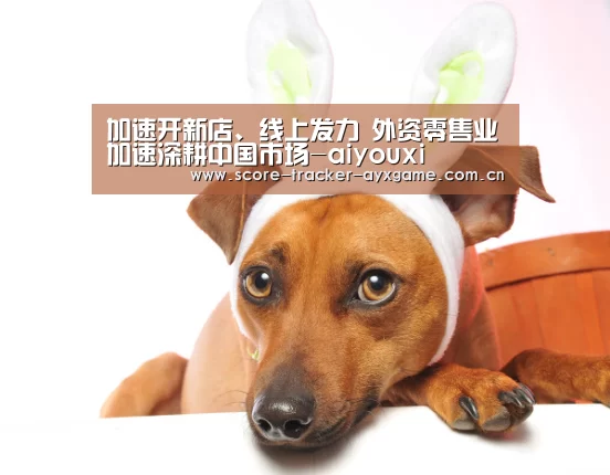 
加速开新店、线上发力 外资零售业加速深耕中国市场-aiyouxi(图3)